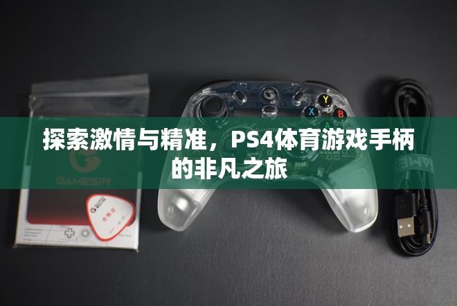 PS4體育游戲手柄，探索激情與精準(zhǔn)的非凡之旅