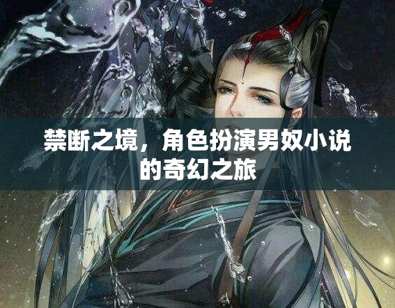 禁斷之境，男奴角色的奇幻冒險