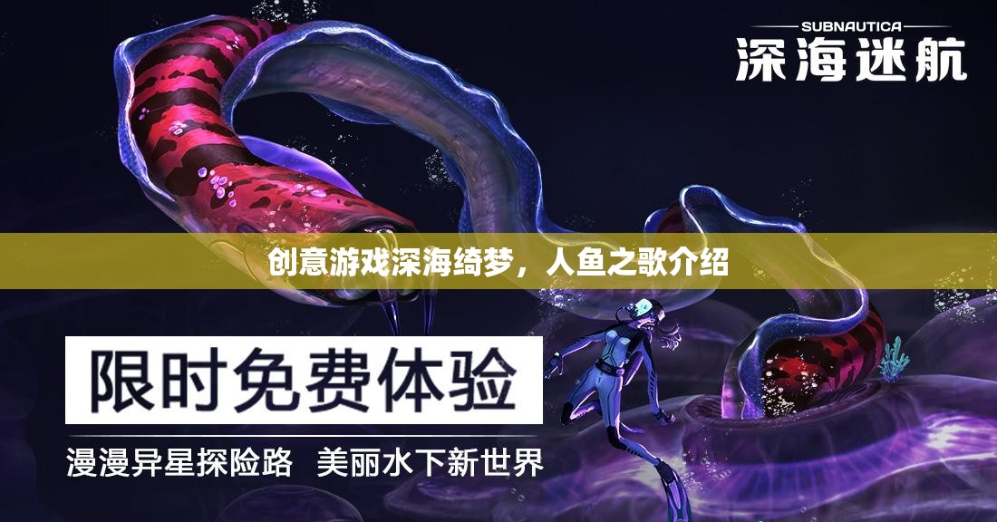 深海綺夢，人魚之歌——探索神秘海洋的夢幻之旅