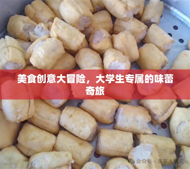 大學(xué)生美食創(chuàng)意大冒險(xiǎn)，解鎖味蕾的奇妙之旅