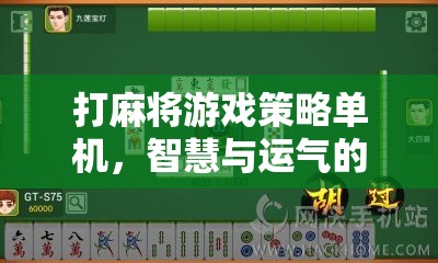 智慧與運(yùn)氣的碰撞，揭秘打麻將游戲策略的單機(jī)版