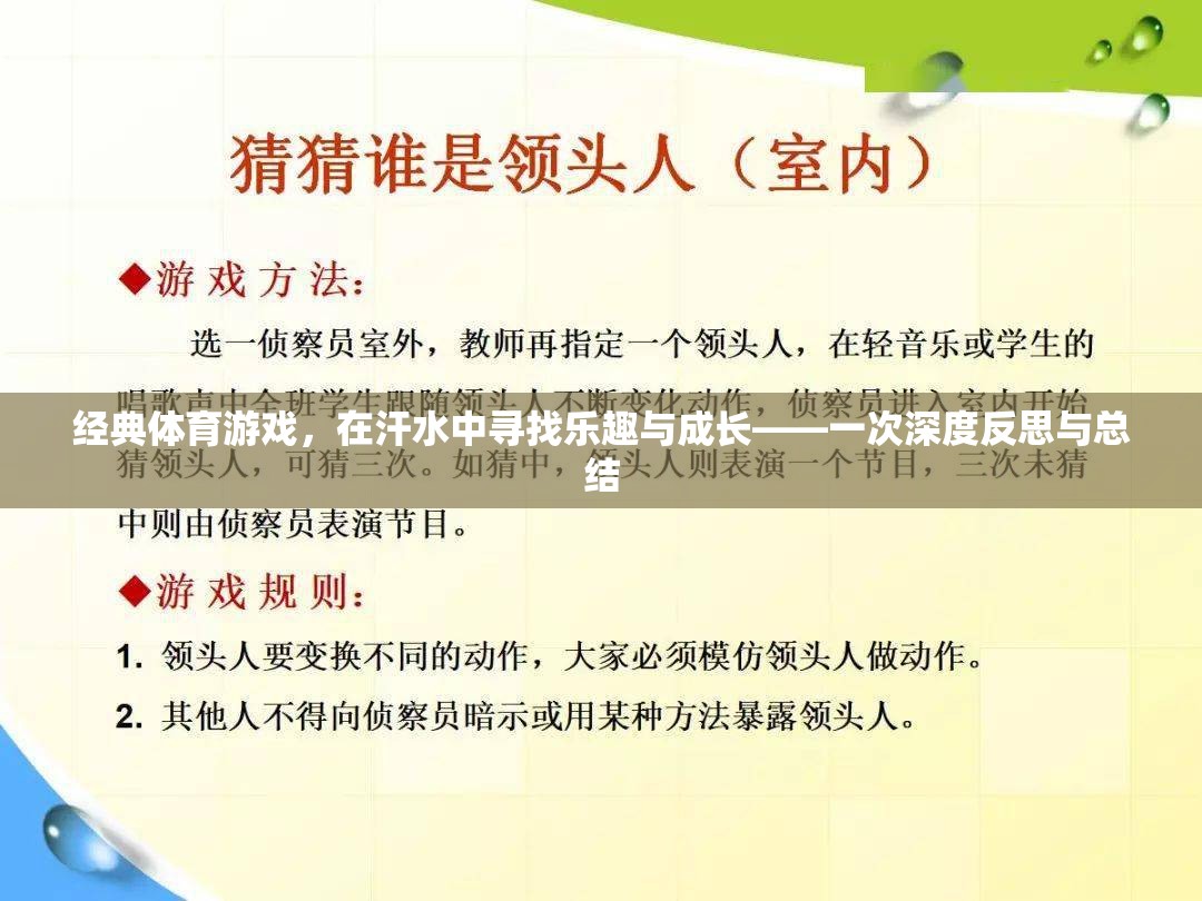 經(jīng)典體育游戲，在汗水中尋找樂(lè)趣與成長(zhǎng)的深度反思與總結(jié)