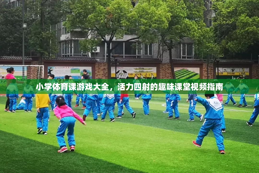 小學體育課游戲大全，活力四射的趣味課堂視頻指南