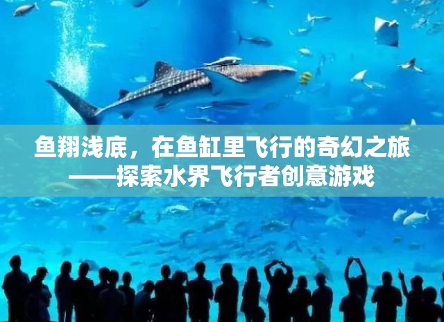 水界飛行者，魚翔淺底的奇幻之旅