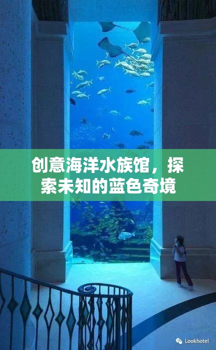 藍(lán)色奇境，創(chuàng)意海洋水族館的探索之旅