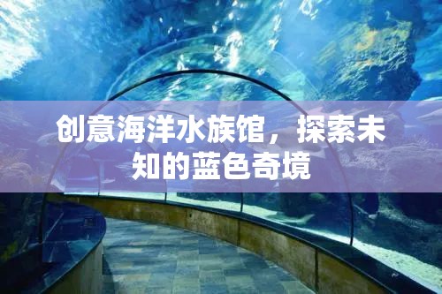 藍(lán)色奇境，創(chuàng)意海洋水族館的探索之旅