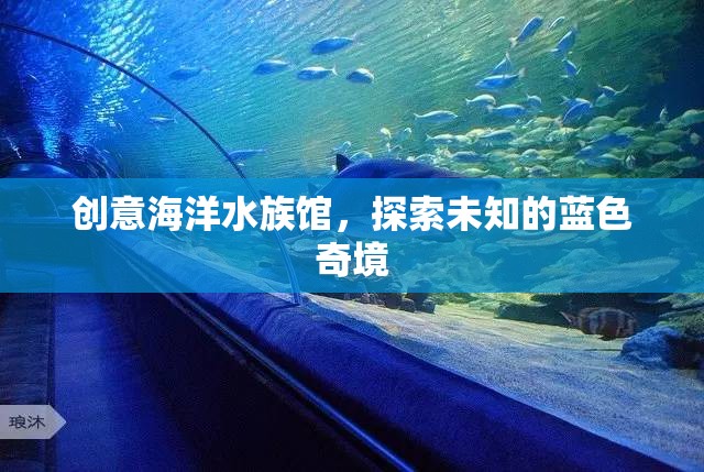 藍(lán)色奇境，創(chuàng)意海洋水族館的探索之旅