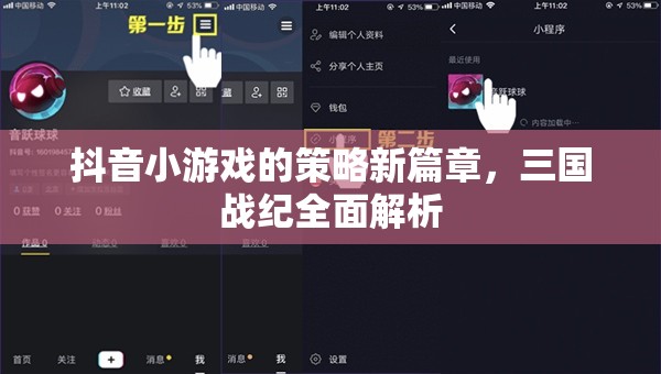 抖音小游戲新策略，三國戰(zhàn)紀全面解析