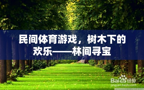 民間體育游戲，樹木下的歡樂——林間尋寶