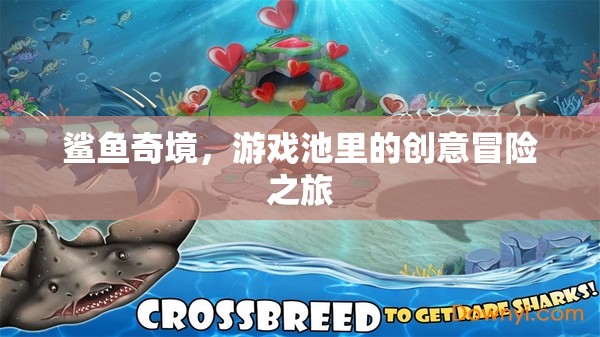 鯊魚奇境，游戲池中的創(chuàng)意冒險之旅