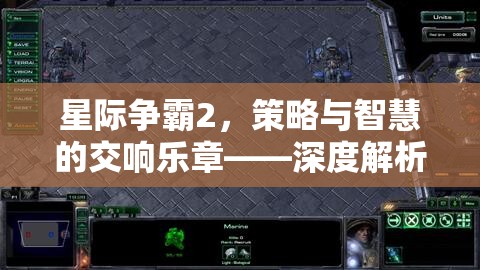 星際爭霸2，策略與智慧的交響樂章——深度解析其代碼背后的奧秘