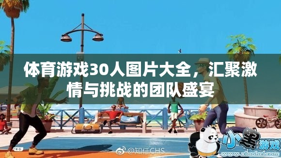 30人體育游戲圖片集錦，激情與挑戰(zhàn)的團(tuán)隊(duì)盛宴