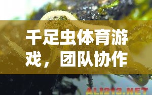 千足蟲(chóng)體育游戲，團(tuán)隊(duì)協(xié)作與策略的趣味挑戰(zhàn)