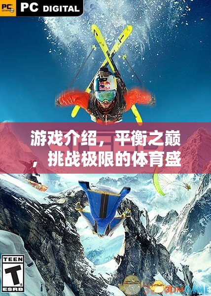 平衡之巔，挑戰(zhàn)極限的體育盛宴