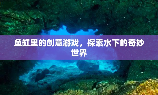 魚缸里的創(chuàng)意游戲，探索水下的奇妙世界