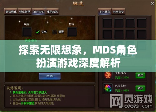 探索無限想象，MDS角色扮演游戲深度解析