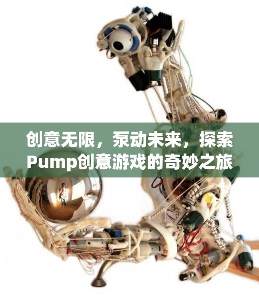 Pump創(chuàng)意游戲，探索無限創(chuàng)意，泵動(dòng)未來之旅