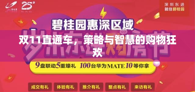 雙11直通車，策略與智慧的購(gòu)物狂歡指南