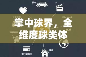 全維度球類體育游戲軟件，掌中球界的深度解析