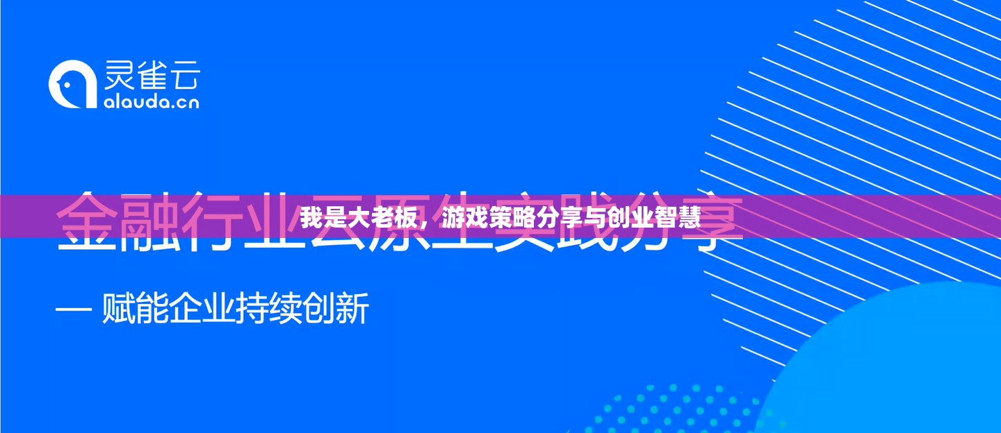 大老板的創(chuàng)業(yè)智慧，游戲策略與成功秘訣