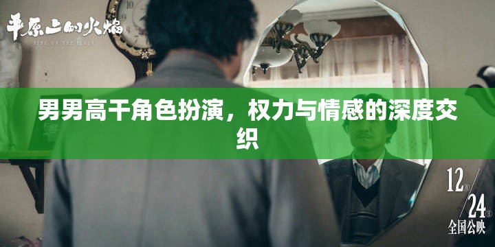 權(quán)力與情感的交織，男男高干角色扮演的深度探索