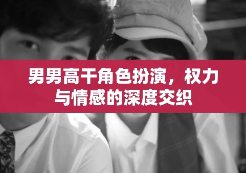 權(quán)力與情感的交織，男男高干角色扮演的深度探索