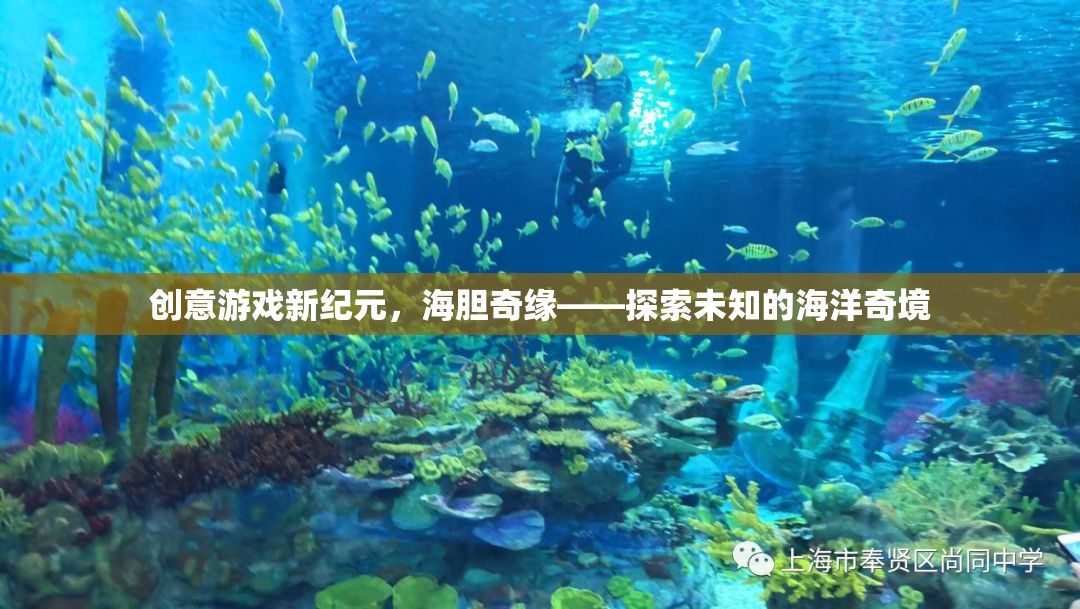 海膽奇緣，解鎖創(chuàng)意游戲新紀元，探索未知的海洋奇境