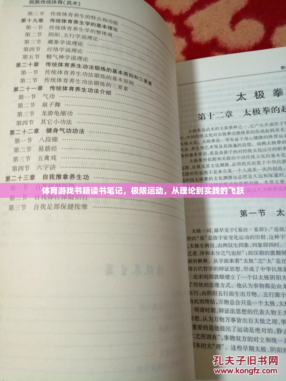 極限挑戰(zhàn)，體育游戲書籍中的理論與實踐飛躍