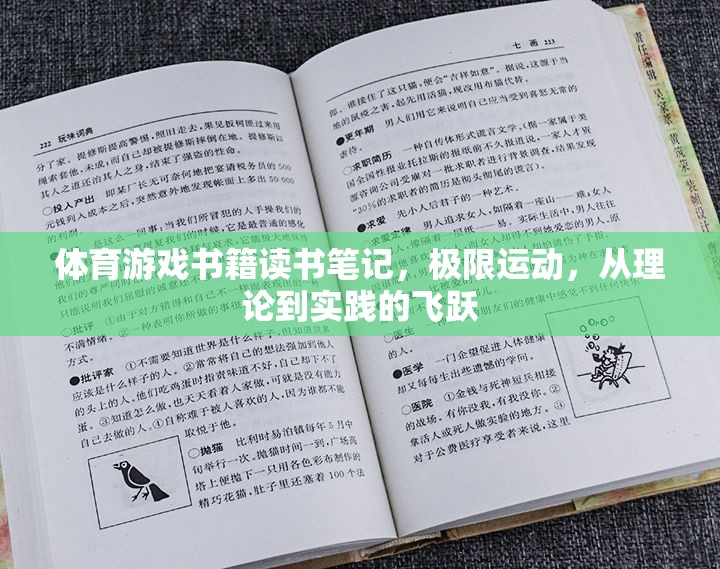 極限挑戰(zhàn)，體育游戲書籍中的理論與實踐飛躍