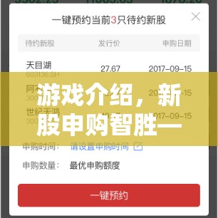 新股申購(gòu)智勝，策略與運(yùn)氣的精彩對(duì)決