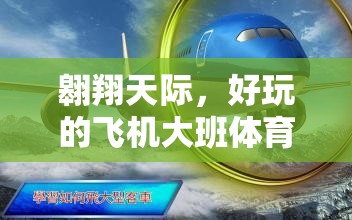 翱翔天際，大班兒童飛機(jī)體育游戲全攻略