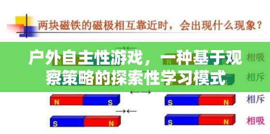 戶外自主性游戲，基于觀察策略的探索性學習模式