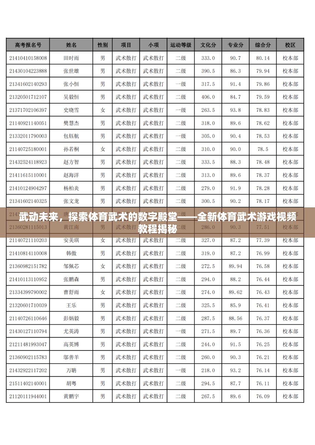 武動(dòng)未來，探索體育武術(shù)的數(shù)字殿堂——全新體育武術(shù)游戲視頻教程揭秘