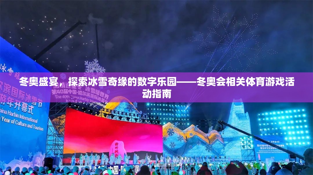 冰雪奇緣的數(shù)字樂園，冬奧會體育游戲活動指南