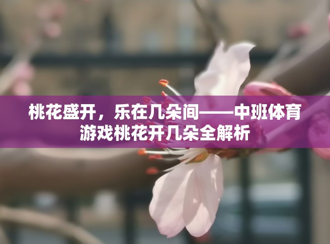 中班體育游戲桃花開幾朵，在桃花盛開中體驗樂趣的全面解析