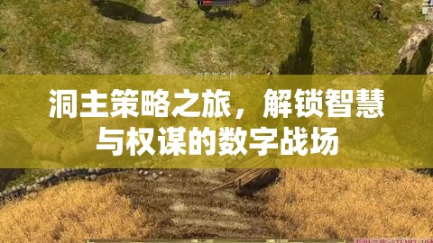 洞主策略之旅，解鎖智慧與權(quán)謀的數(shù)字戰(zhàn)場(chǎng)