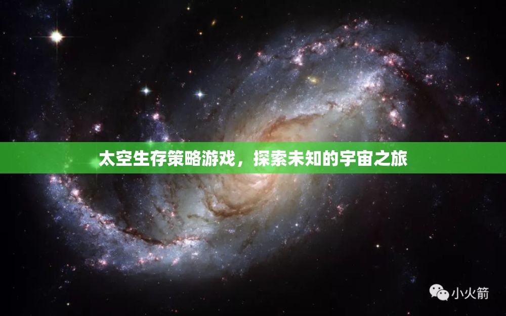 探索未知宇宙，太空生存策略游戲的冒險(xiǎn)之旅