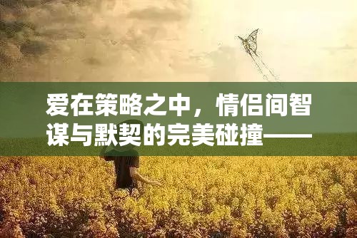 情謀天下，情侶間智謀與默契的完美碰撞