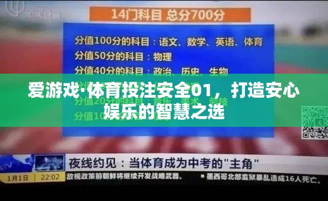 安全01，打造安心娛樂的智慧之選，愛游戲·體育投注的智慧之選