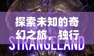 獨行者的暗影之境，探索未知的奇幻3D角色扮演游戲之旅