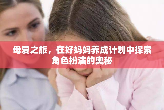 母愛之旅，探索好媽媽養(yǎng)成計劃中的角色扮演奧秘