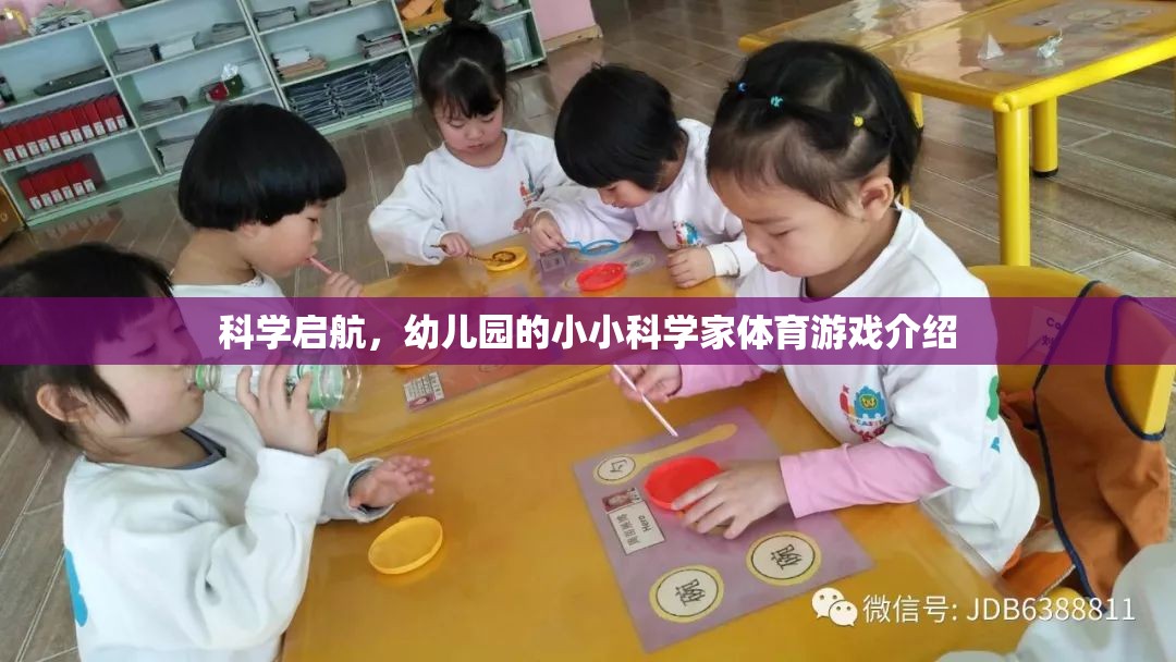 科學啟航，幼兒園小小科學家體育游戲探索