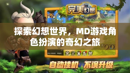 幻想世界的奇幻之旅，MD游戲角色扮演的探索