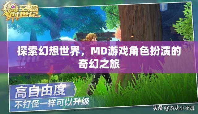 幻想世界的奇幻之旅，MD游戲角色扮演的探索