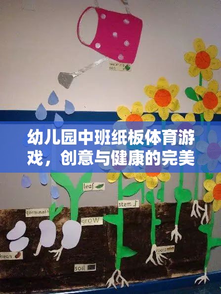 幼兒園中班紙板體育游戲，創(chuàng)意與健康的完美融合