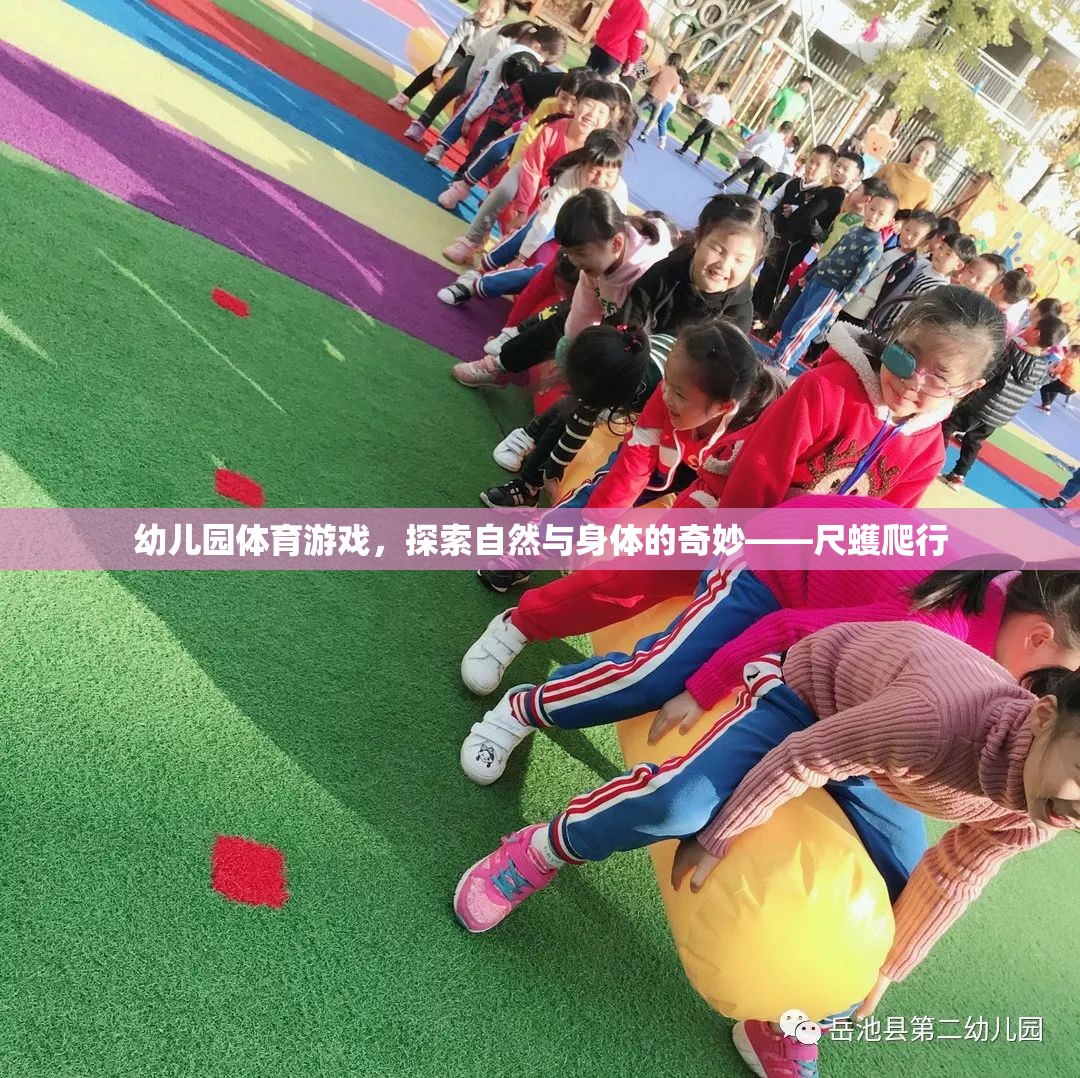 探索自然與身體的奇妙，幼兒園尺蠖爬行體育游戲