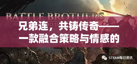 兄弟連，共鑄傳奇——策略與情感的完美融合