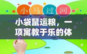 寓教于樂，小袋鼠運糧體育游戲教案設(shè)計