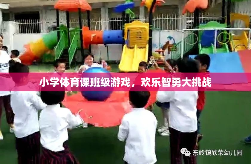 歡樂智勇大挑戰(zhàn)，小學(xué)體育課的班級(jí)游戲盛宴