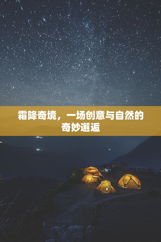 霜降奇境，創(chuàng)意與自然的夢(mèng)幻交融